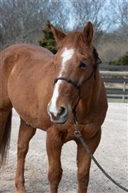 LR-WRF 0402026 Retreat-3067